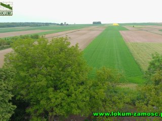 DOM  NIEWIRKÓW-KOLONIA