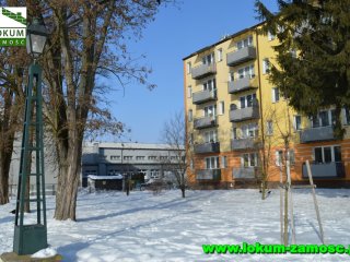  Peowiaków, na wynajem